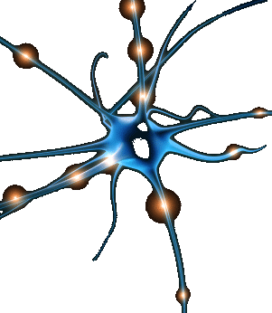 neuron
